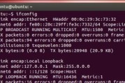 掌握Linux入门基础命令的关键（从零开始学习Linux常用命令）