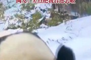 拍大熊猫用富士相机应该配什么镜头？镜头选择有哪些技巧？