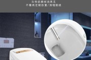 箭牌智能马桶的节能技巧（如何使用箭牌智能马桶节省能源）