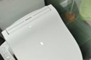 解决松下智能马桶盖不喷水问题的维修方法（保持松下智能马桶盖清洁和畅通的技巧）
