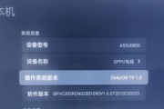 探索oppo主题破解版的魅力与免费下载方法（免费获取oppo主题破解版，让你的手机）