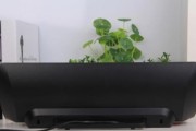 苹果家庭音响的性能如何？