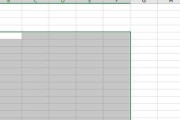 Excel表格外边框设置步骤详解（学会设置Excel表格外边框）