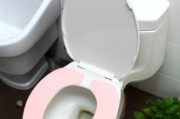 解决冲马桶水箱漏水问题的方法与技巧（应对冲马桶水箱漏水）