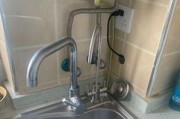 净水器接口轻微漏水的修理方法（快速解决家用净水器接口漏水问题）