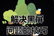 电脑屏幕黑屏问题如何解决？