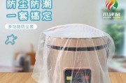 如何有效地处理以电饭煲为巢的蟑螂（掌握清除电饭煲内蟑螂的关键技巧）