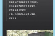 劲浪亚麻低音炮的音质档次如何？用户评价怎么样？