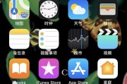 苹果手机截屏操作方法大全（快速掌握苹果手机截屏的技巧与步骤）