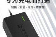 通用电动车充电器的标准电压是多少？