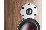 DALI达尼Rubicon6C混合有源音箱的音质与功能（揭秘DALI达尼Rubicon6C混合有源音箱的卓越表现及其关键特点）