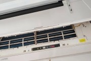 如何正确清洗立体式空调（清洗立体式空调的步骤和注意事项）