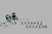文字锁屏怎么设置？设置步骤和常见问题解答？
