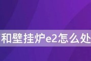 夏普壁挂炉显示E2故障解决方法（夏普壁挂炉出现E2故障代码）