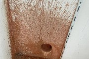 苹果手机底部孔洞的作用是什么？如何保养？