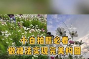 苹果手机拍照如何实现快速聚焦？有哪些方法？