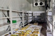 取电视机时冷库车厢内需要注意什么？