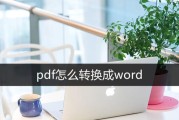 教你轻松将PDF文件转化为Word文件（一键转换，便捷的PDF转Word方法）