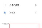 苹果手机盲键打开后有哪些功能？