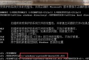 Windows系统下立即重启CMD命令的使用（掌握重启命令）