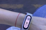 小米手环6标准版和NFC版本的区别（功能差异与支付便利程度对比）