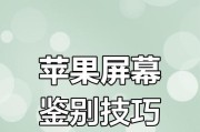 鉴别真假苹果手机的软件有哪些？如何使用？