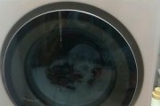 海尔洗衣机故障代码F4解决方法（了解海尔洗衣机故障代码F4）