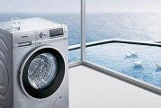 选择最实用的多功能洗衣机，轻松满足你的各种需求（一台机器）