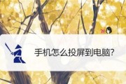 游戏投屏到电脑后没有声音怎么办？如何解决？