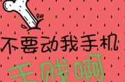手机摄像头保护膜美图使用技巧有哪些？