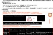 电脑无法访问网络的原因及解决方法（深入探讨电脑DNS服务器未响应问题）