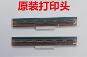 如何修复以标签打印机的打印头问题（解决以标签打印机打印头故障的有效方法）