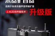 吹口琴怎么配音箱？如何选择适合口琴的音箱？