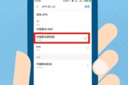 家庭网速慢的原因分析与解决方法（探索家庭网速缓慢的根源）