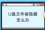 如何处理隐藏的U盘中毒文件（解决隐藏病毒文件的有效方法）