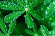 电脑壁纸设置教程（一步步教你如何更换电脑壁纸，让桌面焕然一新）