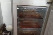 解决冰柜后面臭味的方法（清除冰柜后面异味的简易技巧）