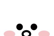 苹果手机刘海屏显示的内容是什么？