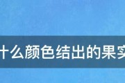 探索niko准星（揭开niko准星多种颜色的魅力）