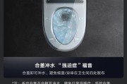 解决云米马桶冲水不畅的方法（原因分析及应对措施）