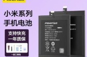 小米电瓶修复充电器使用方法是什么？效果如何？