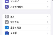 如何设置苹果字体以获得更美观的效果（探索苹果字体的各种设置技巧，让文字更加优雅和吸引人）