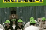 绿帽手机拍摄照片的视频教程在哪里？如何操作？