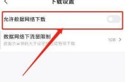 数据流量已打开，为何没有网络？（探索数据流量开启后网络未连接的原因及解决方法）