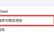 为什么无法在AppleStore下载App？（探究AppleStore无法下载App的原因）