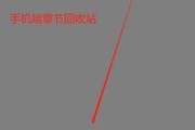 码字软件分析（探索码字软件的优势和使用技巧）