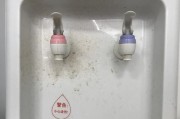 饮水机快烧故障的解决方法（如何避免饮水机快烧）
