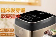 电饭煲加热盘烧糊了怎么办（教你轻松解决电饭煲加热盘烧糊的问题）