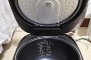 蒸汽电饭煲故障排除指南（解决蒸汽电饭煲常见故障的方法和技巧）