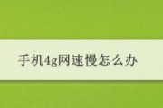 4G信号满格网速很慢的解决方法（如何优化4G网络连接）